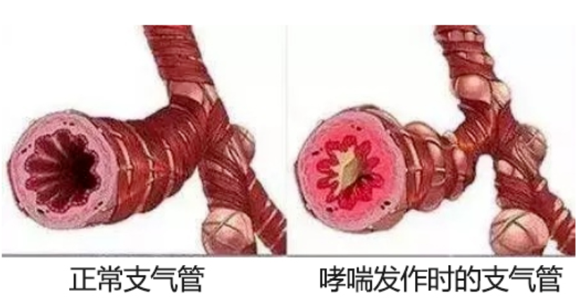 &#20061;&#24030;&#32593;&#39029;&#29256;&#45;&#20061;&#24030;&#40;&#20013;&#22269;&#41;&#45;&#20061;&#24030;&#40;&#20013;&#22269;&#41;
