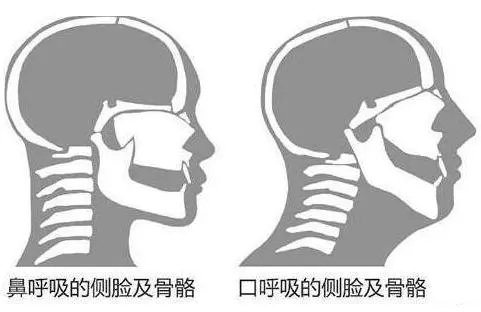 &#20061;&#24030;&#32593;&#39029;&#29256;&#45;&#20061;&#24030;&#40;&#20013;&#22269;&#41;&#45;&#20061;&#24030;&#40;&#20013;&#22269;&#41;