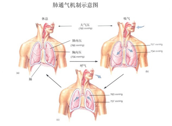 &#20061;&#24030;&#32593;&#39029;&#29256;&#45;&#20061;&#24030;&#40;&#20013;&#22269;&#41;&#45;&#20061;&#24030;&#40;&#20013;&#22269;&#41;