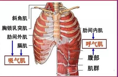 &#20061;&#24030;&#32593;&#39029;&#29256;&#45;&#20061;&#24030;&#40;&#20013;&#22269;&#41;&#45;&#20061;&#24030;&#40;&#20013;&#22269;&#41;
