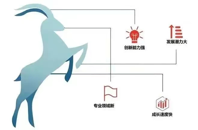 &#20061;&#24030;&#32593;&#39029;&#29256;&#45;&#20061;&#24030;&#40;&#20013;&#22269;&#41;&#45;&#20061;&#24030;&#40;&#20013;&#22269;&#41;